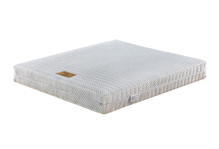 Bristol ����˹��(QS-1)