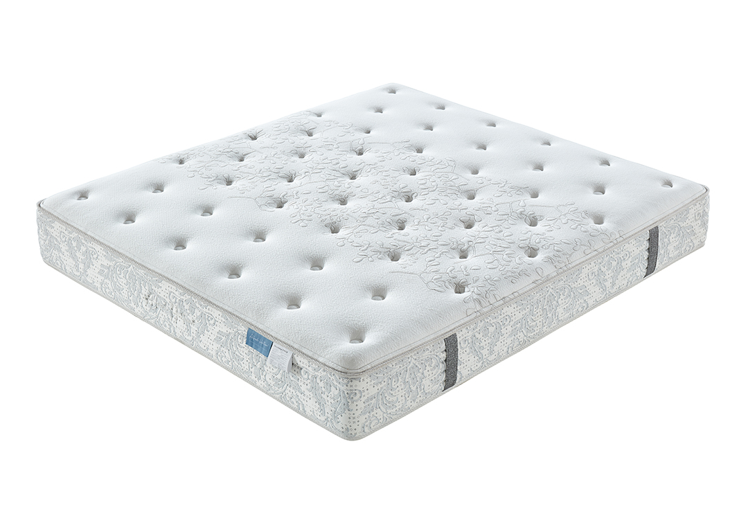 Chiropractor ����ר��